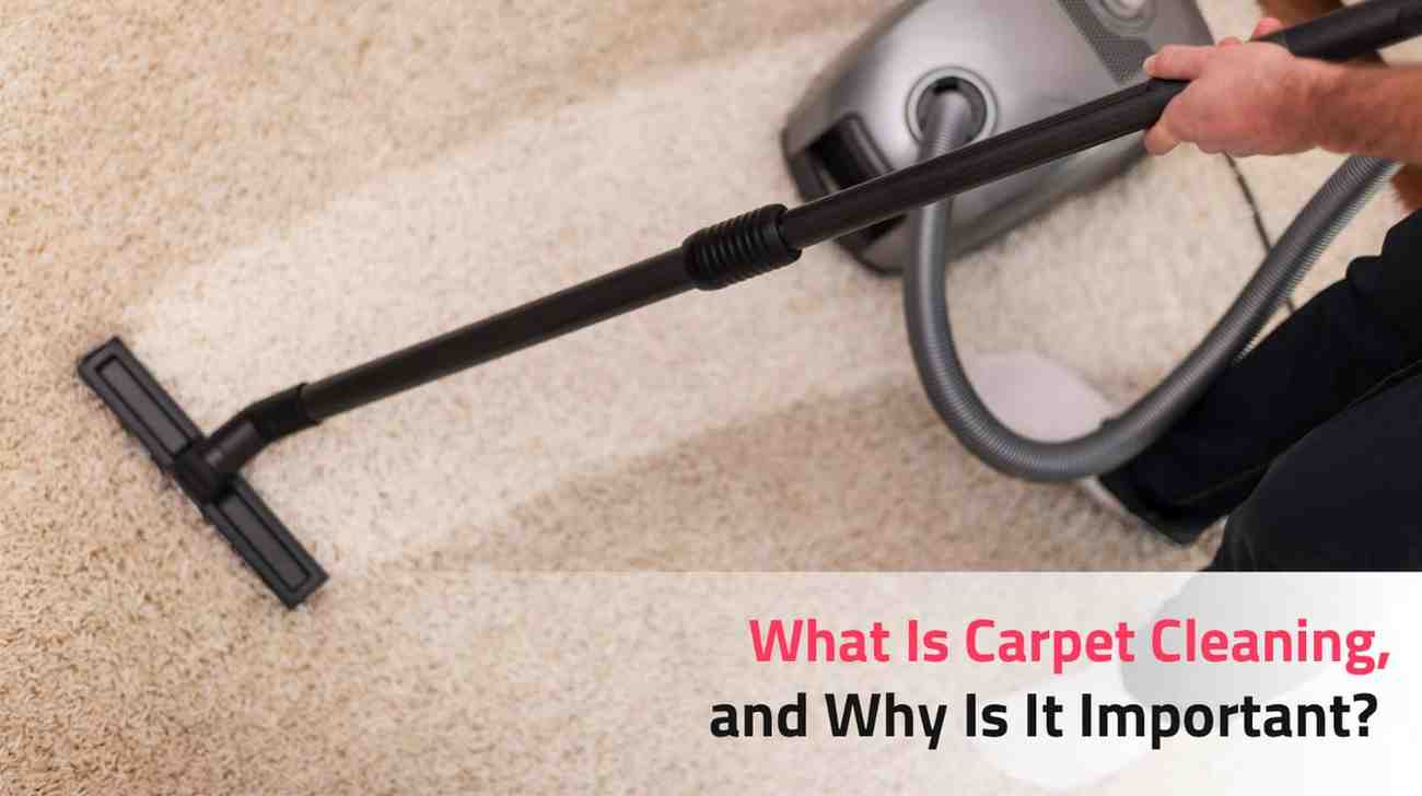 Carpet Cleaning - Importance, Methods & Maintenance