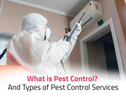 What is Pest Control? And Types of Pest Control Services.