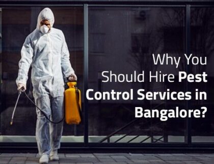Why You Should Hire Pest Control Services in Bangalore?