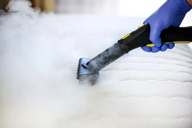 Mattress cleaning services